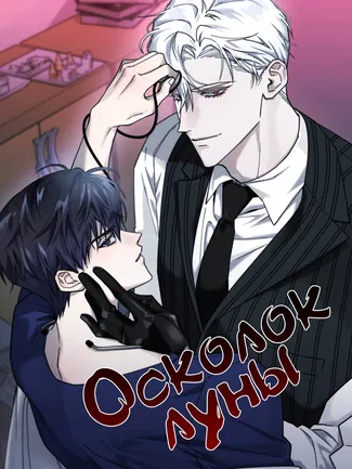 обложка тайтла «Осколок луны»